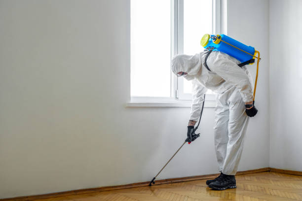 Best Organic or Eco-Friendly Pest Control  in Ruskin, FL